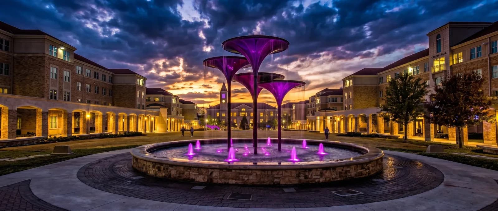 Frog Fountain at Texas Christian University
